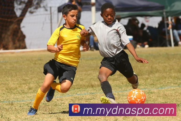 pa真人视讯平台生态图